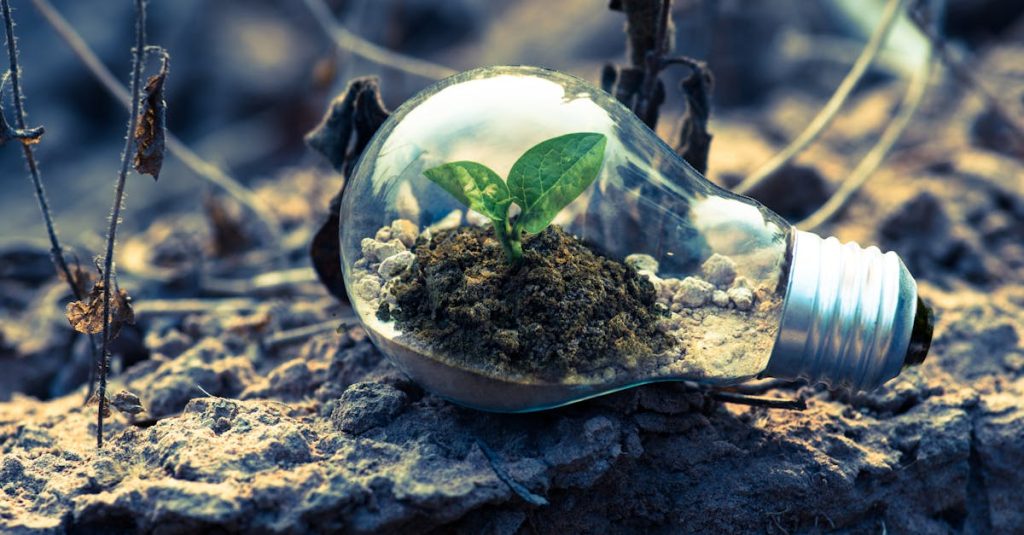 A small plant sprouts in soil inside a light bulb, symbolizing eco-friendly and sustainable growth.